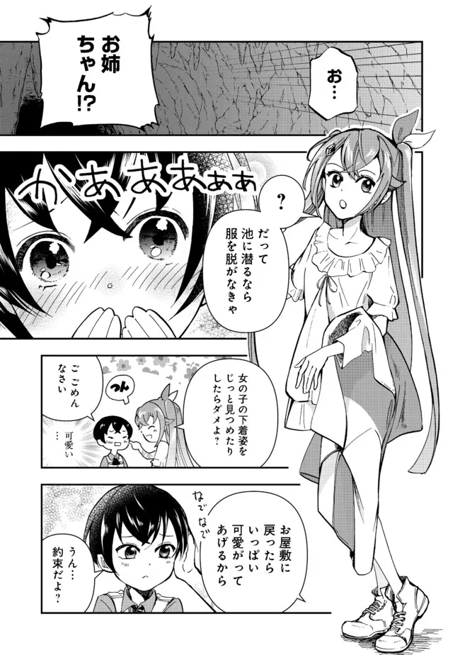 やり直し悪役令嬢は、幼い弟(天使)を溺愛します@COMIC 第4.1話 - Page 13