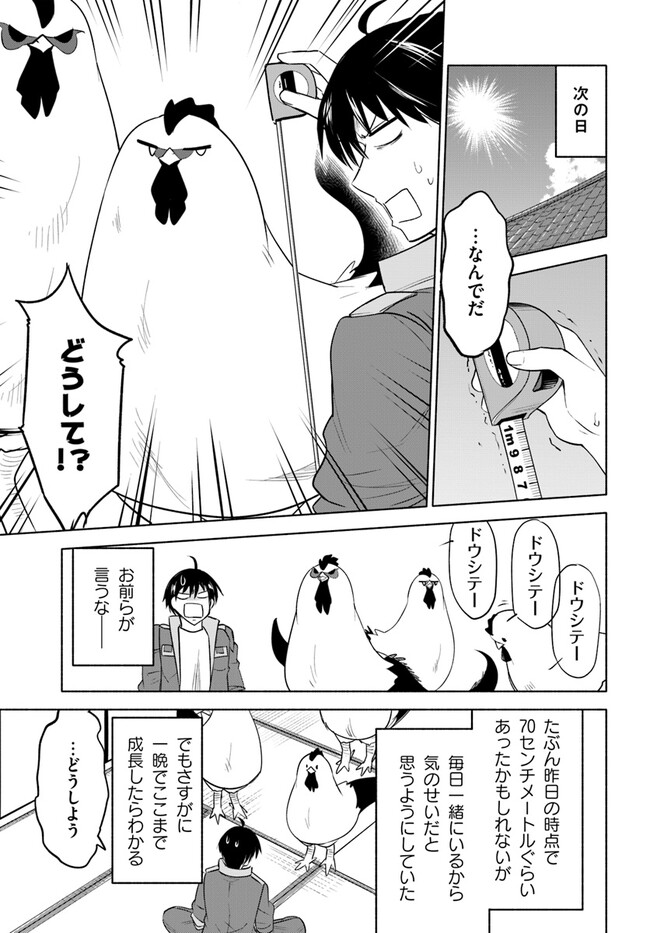 前略、山暮らしを始めました。 第9話 - Page 11