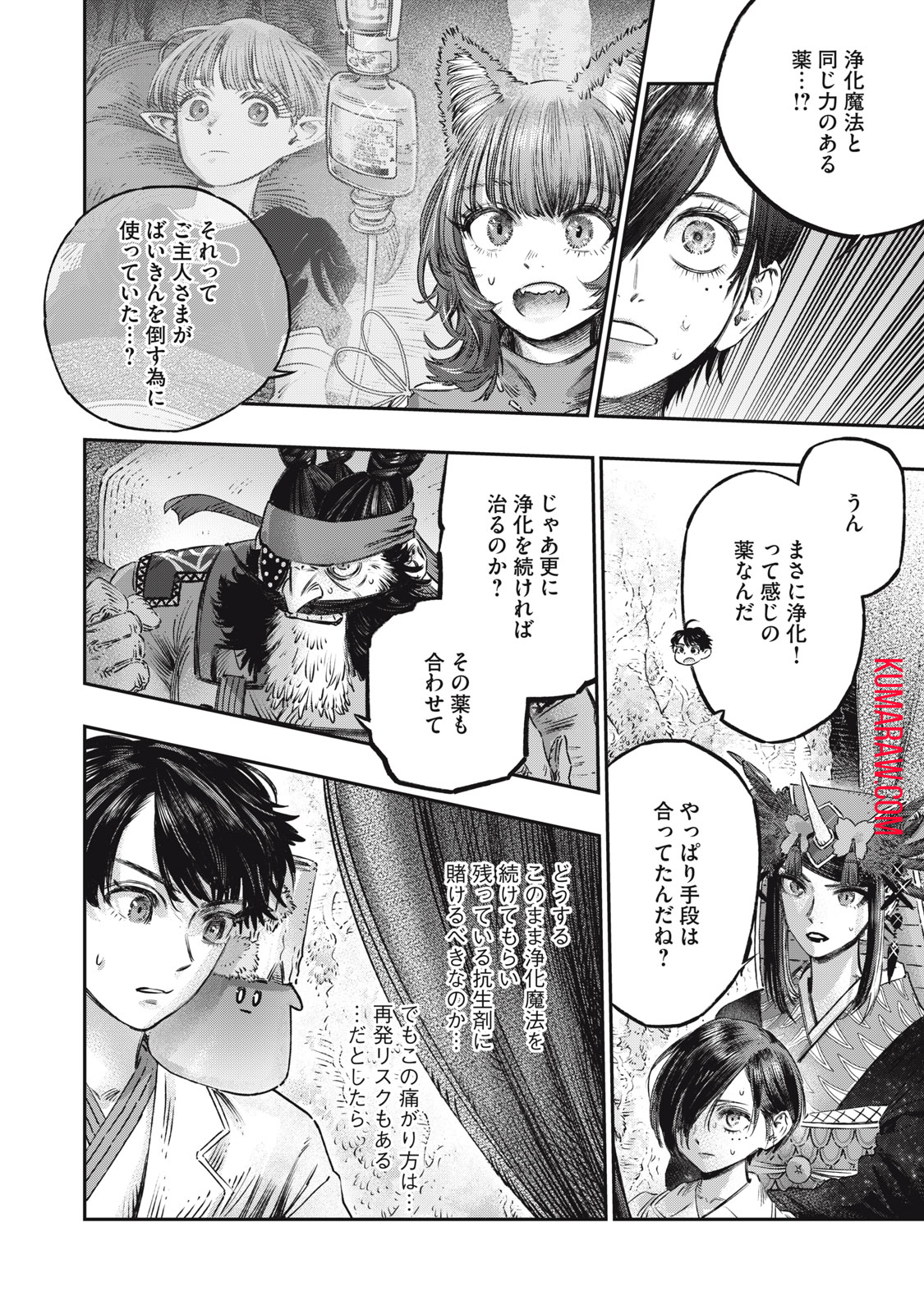 高度に発達した医学は魔法と区別がつかない 第16.2話 - Page 13