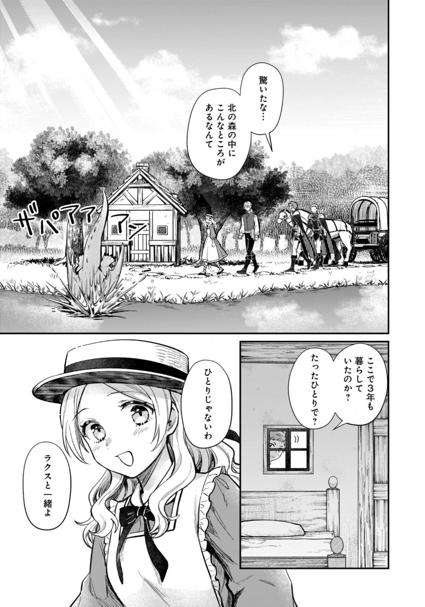 竜の子を産んだら離縁されたので森で隠居することにしました 第13話 - Page 9