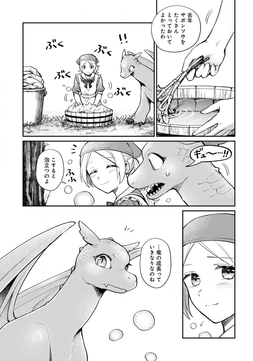 竜の子を産んだら離縁されたので森で隠居することにしました 第14話 - Page 4