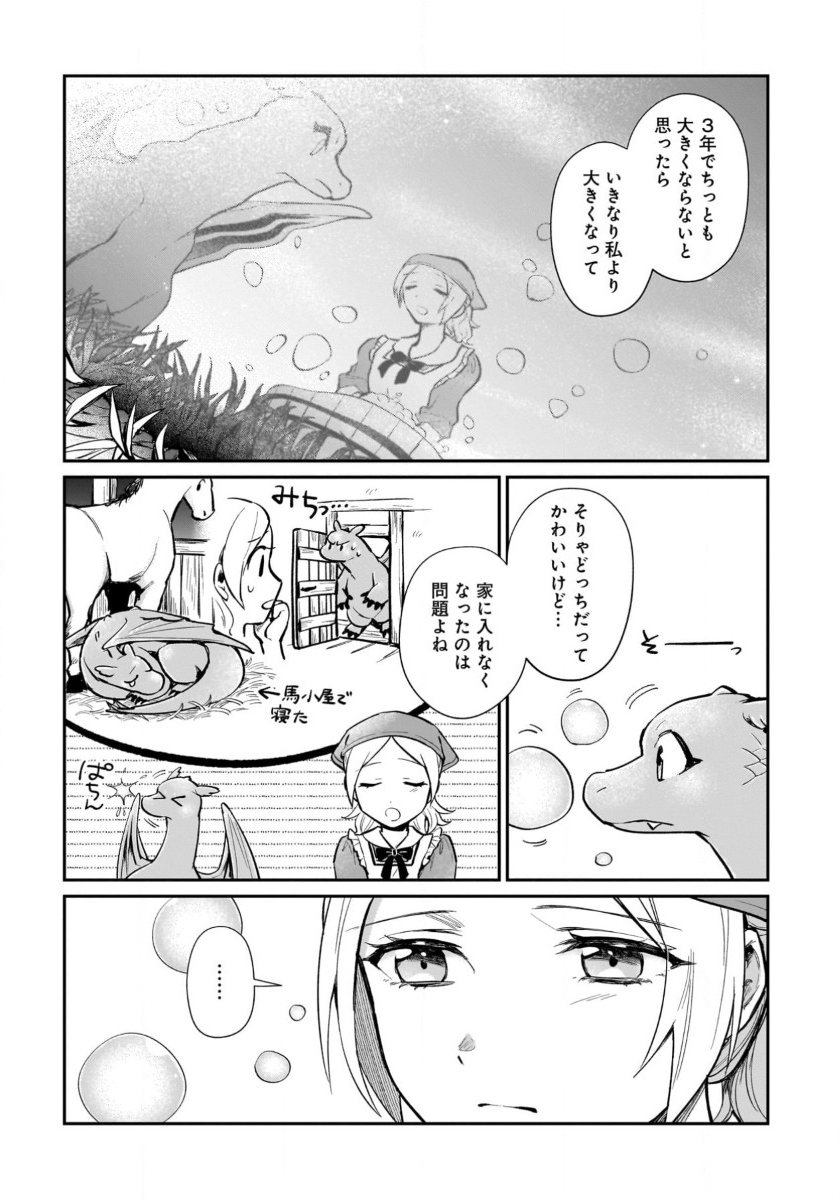 竜の子を産んだら離縁されたので森で隠居することにしました 第14話 - Page 5