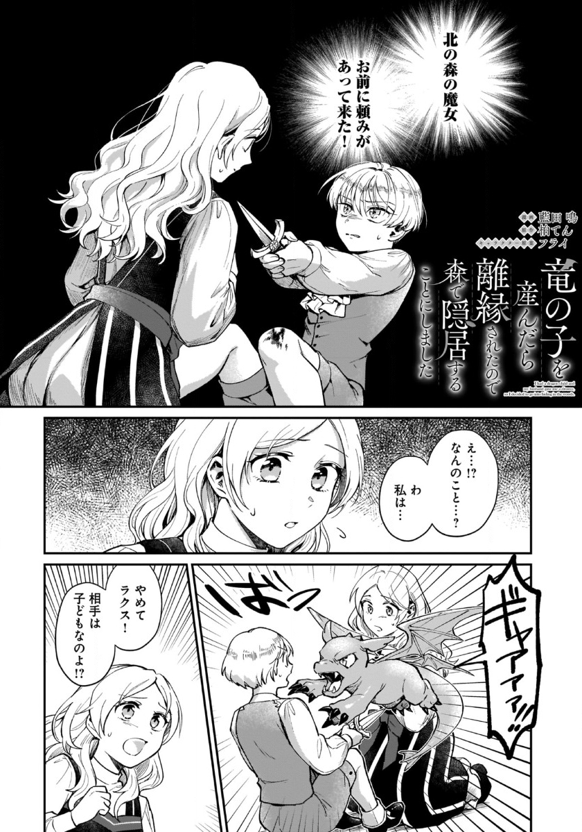 竜の子を産んだら離縁されたので森で隠居することにしました 第3話 - Page 1