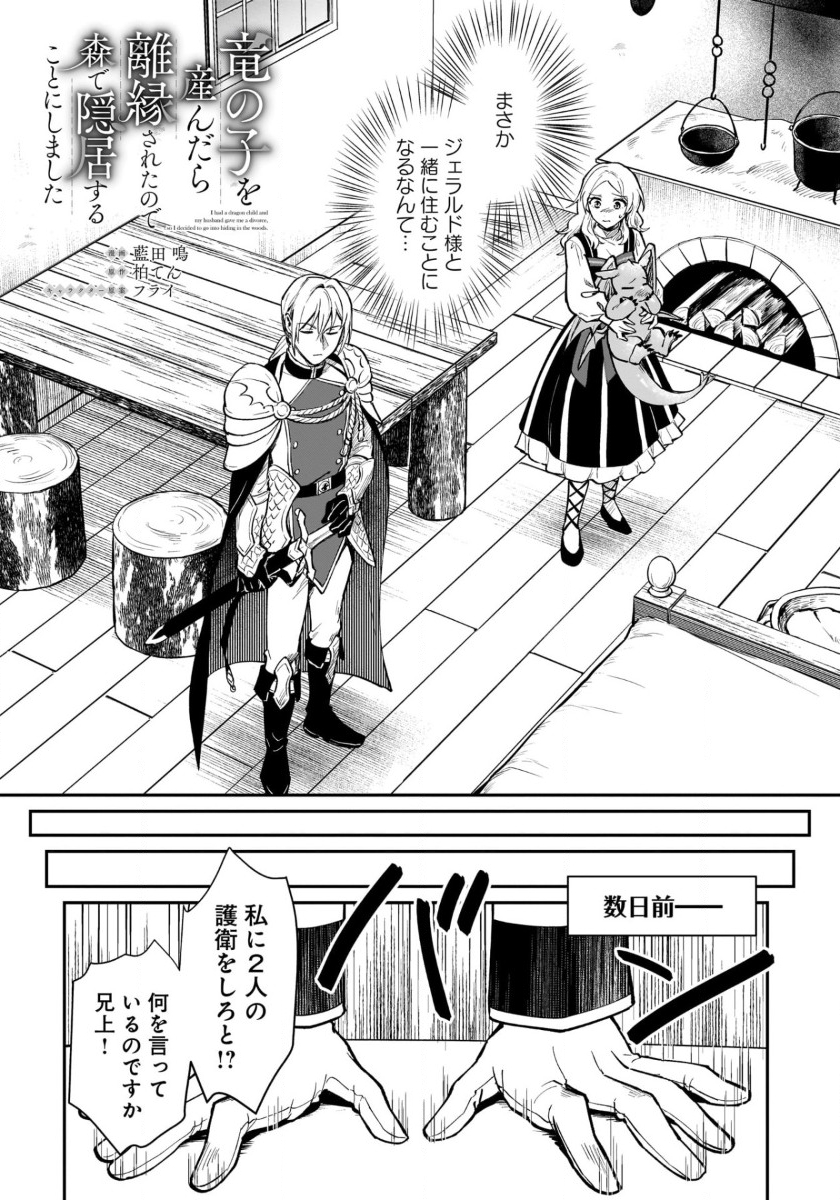 竜の子を産んだら離縁されたので森で隠居することにしました 第6話 - Page 1