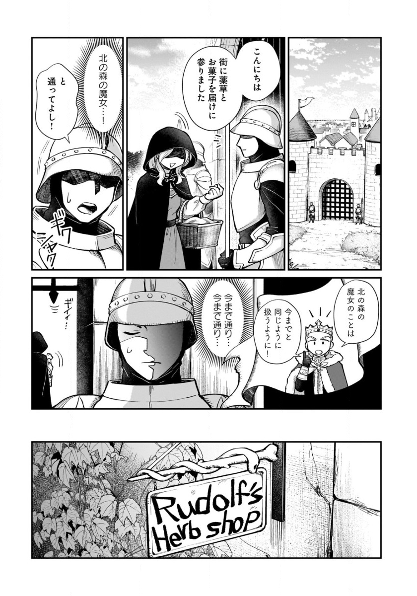 竜の子を産んだら離縁されたので森で隠居することにしました 第9話 - Page 9