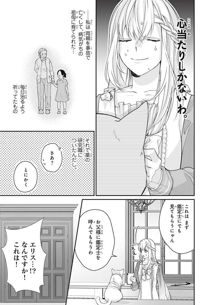 婚約破棄されたので、国の外れで錬金術姫になりました！ 第4.2話 - Page 2