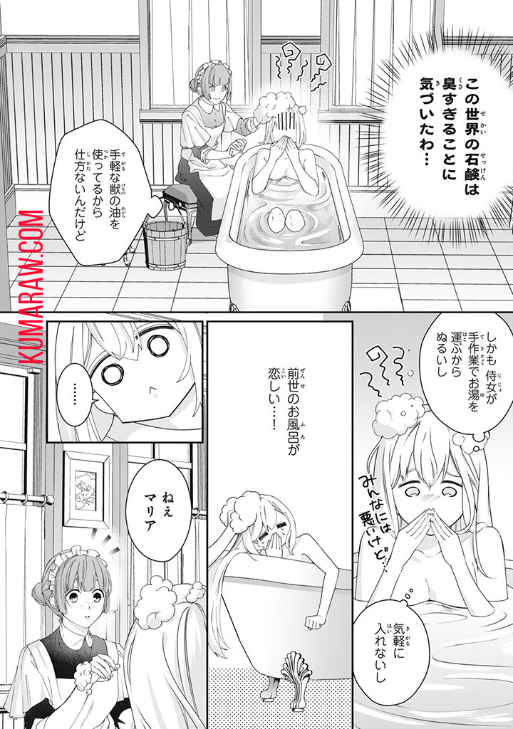 婚約破棄されたので、国の外れで錬金術姫になりました！ 第5.1話 - Page 10