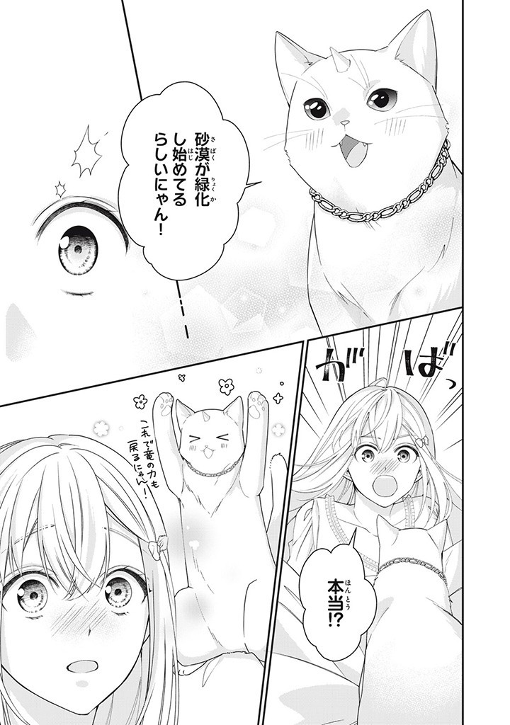 婚約破棄されたので、国の外れで錬金術姫になりました！ 第6.1話 - Page 9