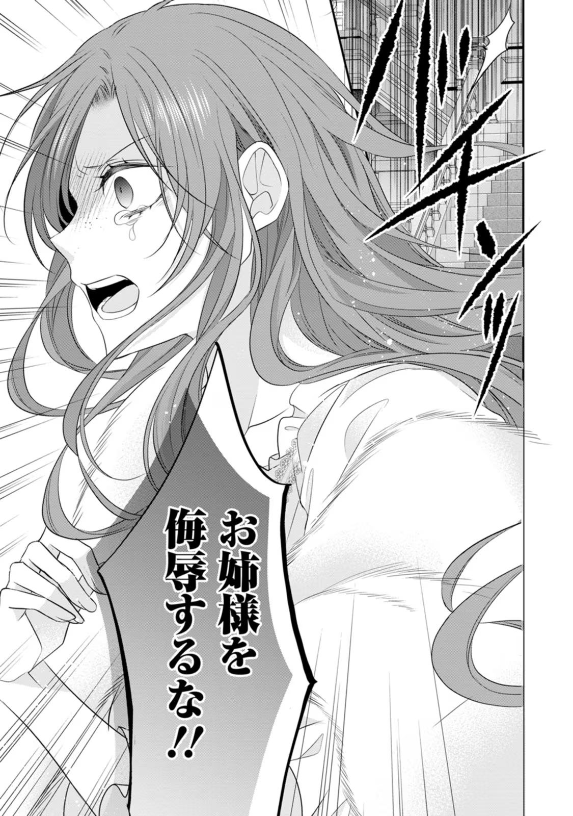 ずたぼろ令嬢は姉の元婚約者に溺愛される 第21話 - Page 17