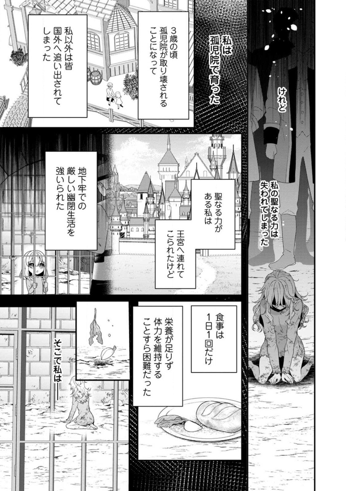 追放聖女のどろんこ農園生活～いつのまにか隣国を救ってしまいました～ 第1話 - Page 3