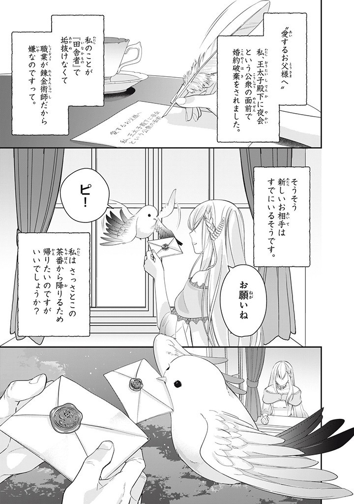 婚約破棄されたので、国の外れで錬金術姫になりました！ I Was Rejected for Marriage 第2.2話 - Page 5