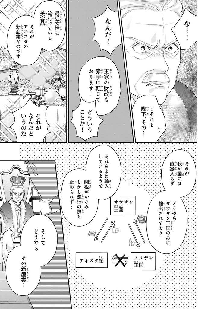 婚約破棄されたので、国の外れで錬金術姫になりました！ I Was Rejected for Marriage 第5.2話 - Page 9