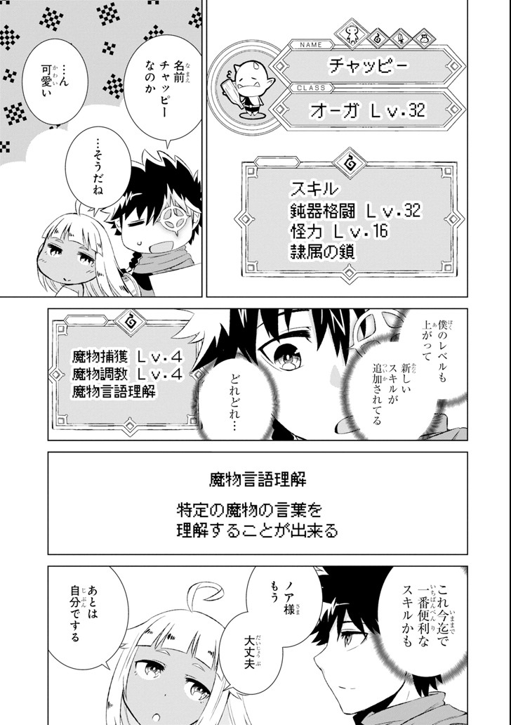 世界でただ一人の魔物使い～転職したら魔王に間違われました～ 第3話 - Page 19