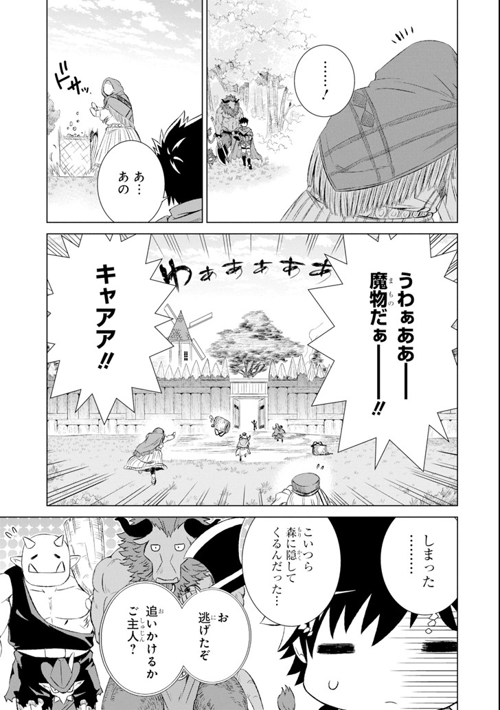 世界でただ一人の魔物使い～転職したら魔王に間違われました～ 第3話 - Page 29