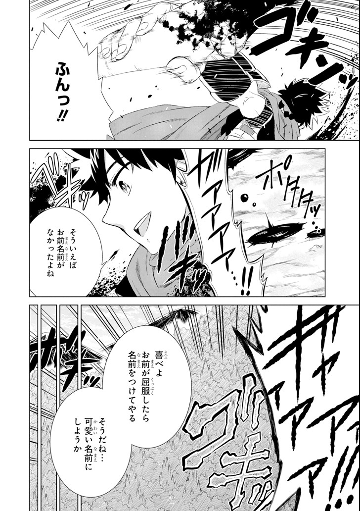 世界でただ一人の魔物使い～転職したら魔王に間違われました～ 第5話 - Page 26