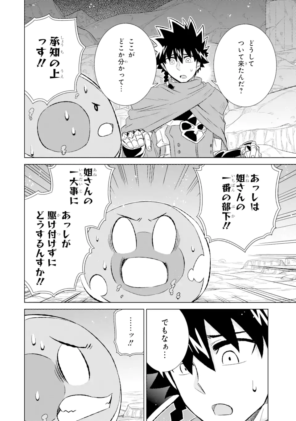 世界でただ一人の魔物使い～転職したら魔王に間違われました～ 第51.1話 - Page 8