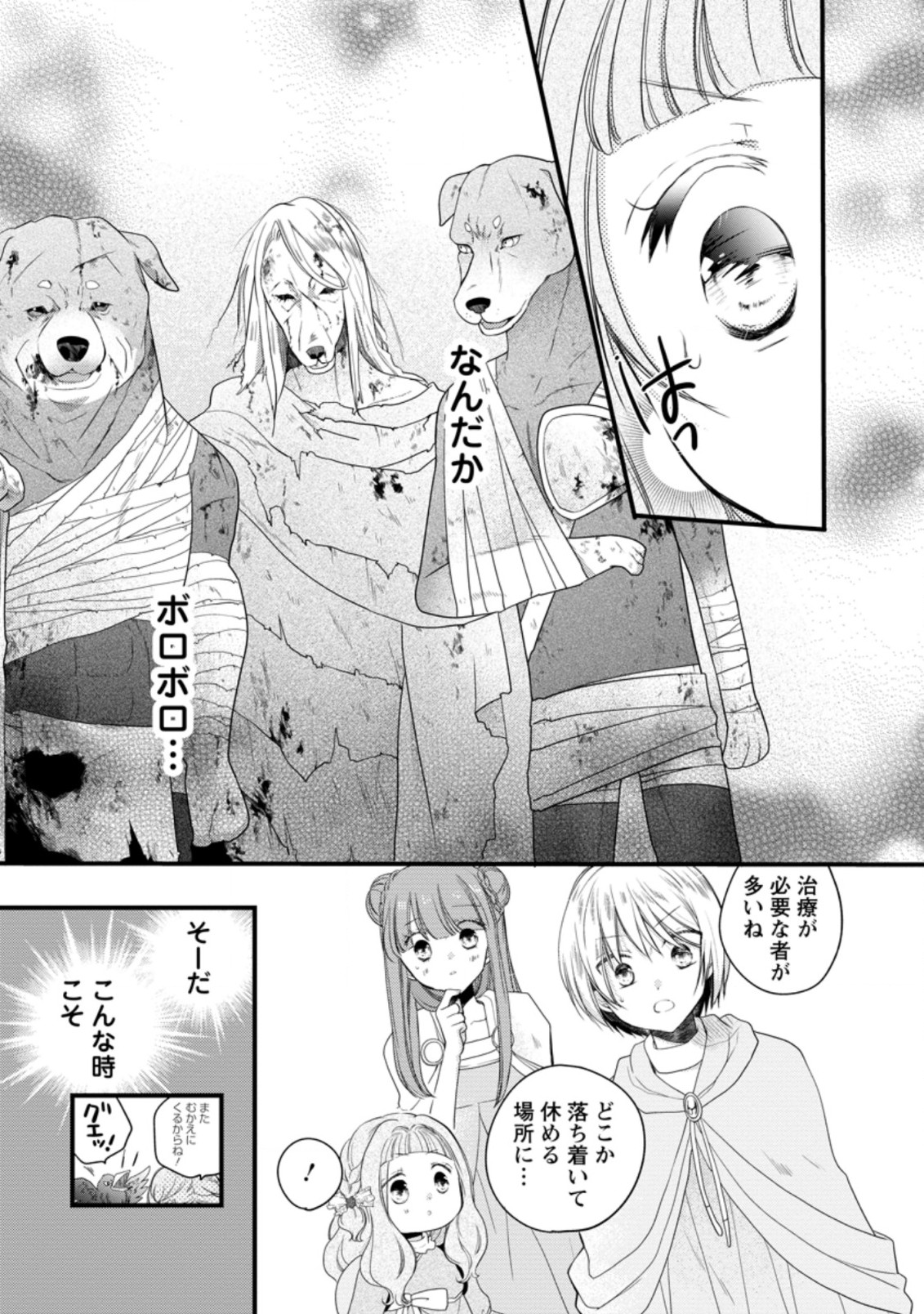 異世界でもふもふなでなでするためにがんばってます。 第31.1話 - Page 5