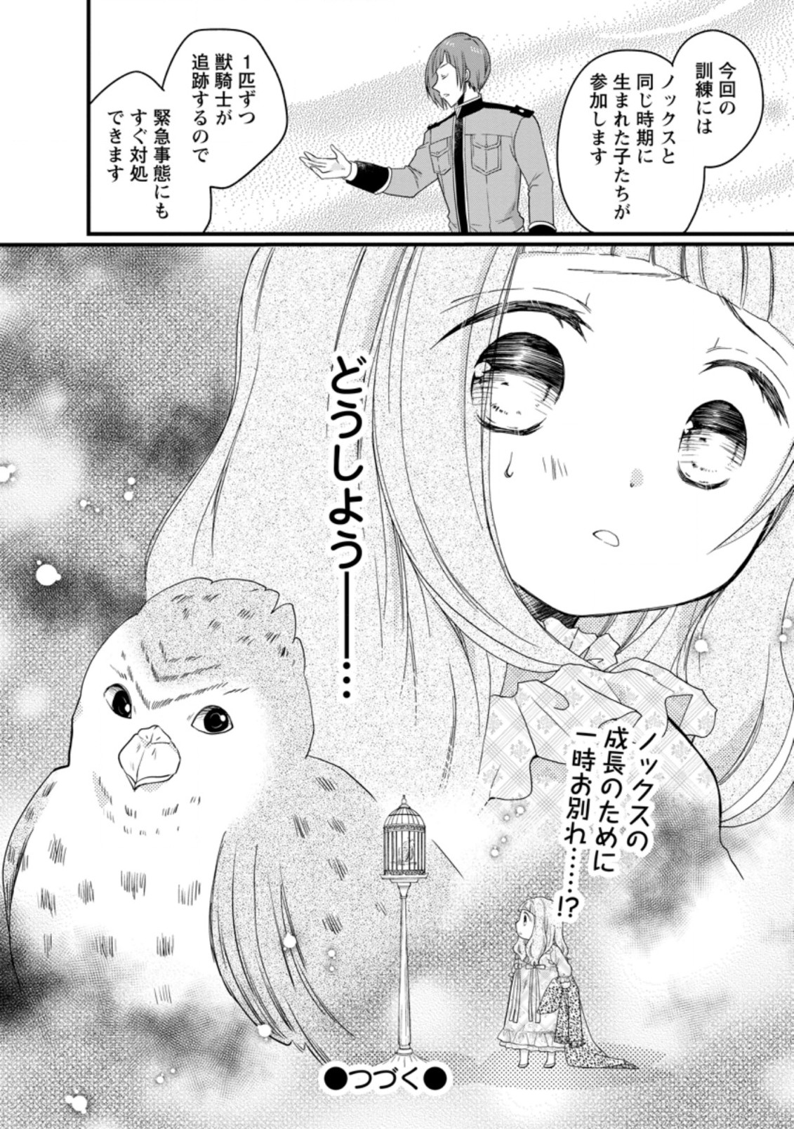 異世界でもふもふなでなでするためにがんばってます。 第40.3話 - Page 13