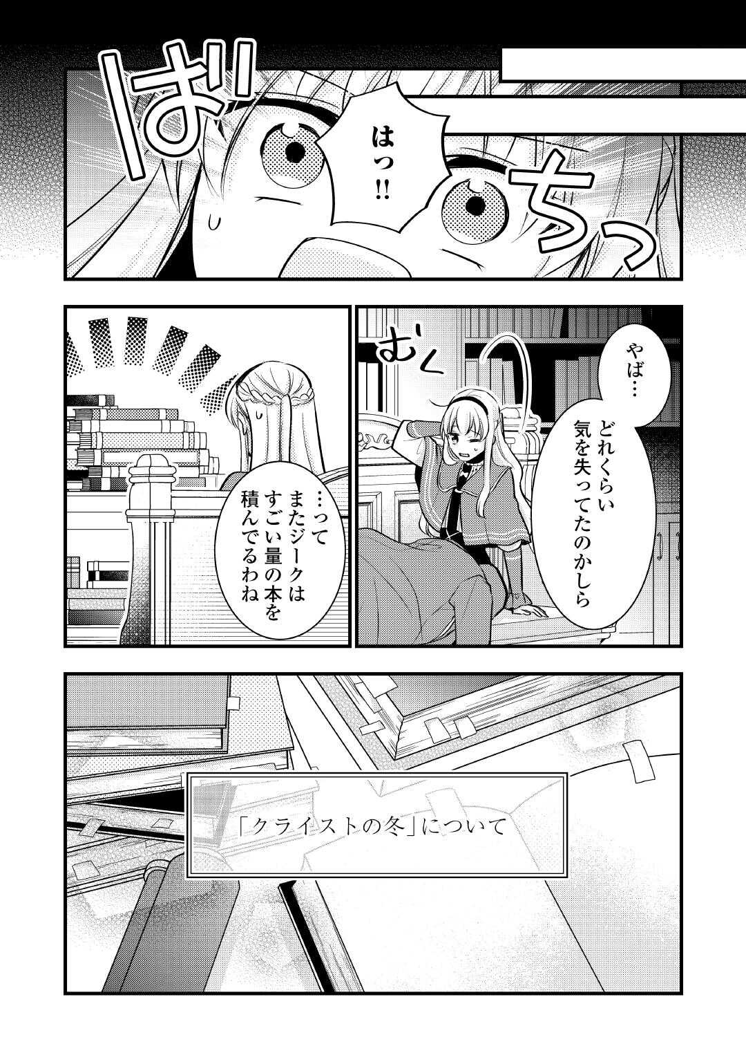 悪役令嬢はヒロインを虐めている場合ではない 第23.5話 - Page 11