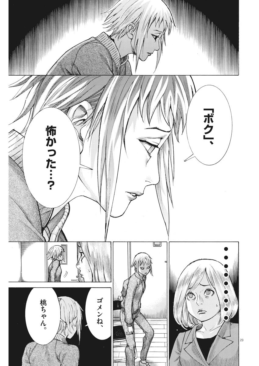 夏目アラタの結婚 第12話 - Page 23