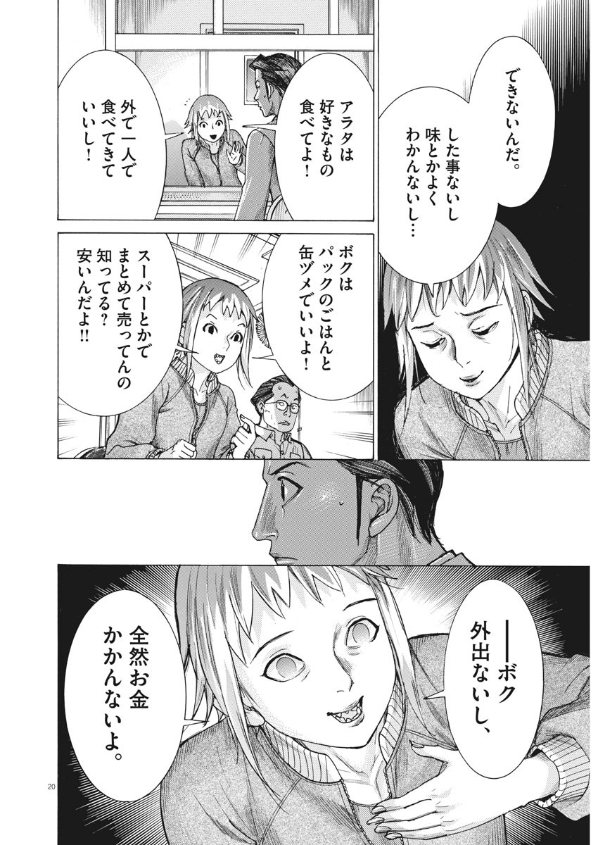 夏目アラタの結婚 第19話 - Page 20