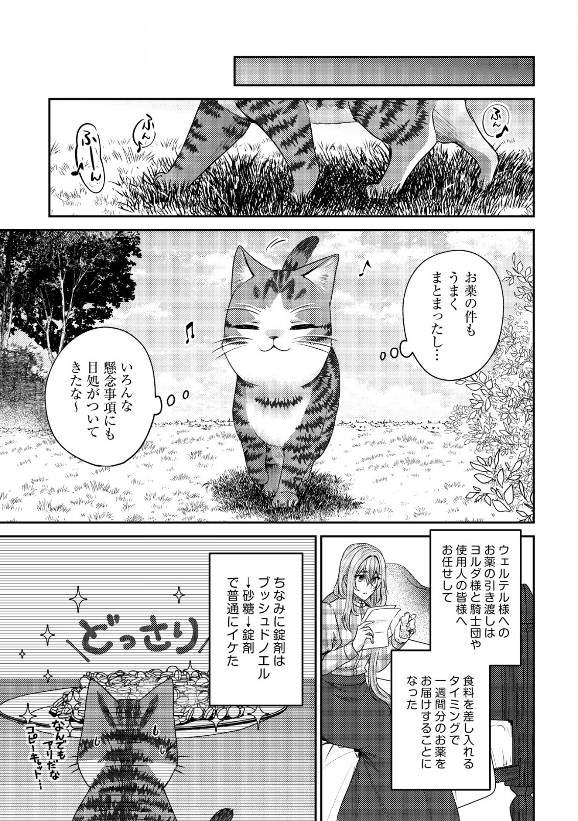 我輩は猫魔導師である～キジトラ・ルークの快適チート猫生活～ 第16話 - Page 13