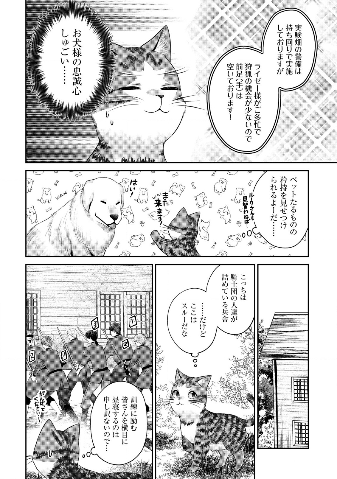 我輩は猫魔導師である～キジトラ・ルークの快適チート猫生活～ 第16話 - Page 18