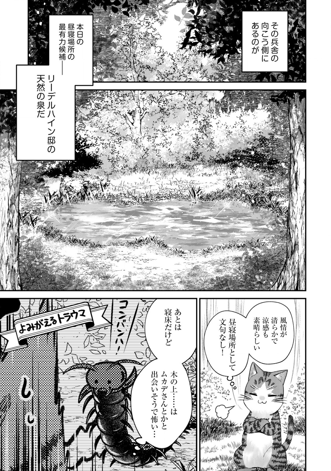 我輩は猫魔導師である～キジトラ・ルークの快適チート猫生活～ 第16話 - Page 19