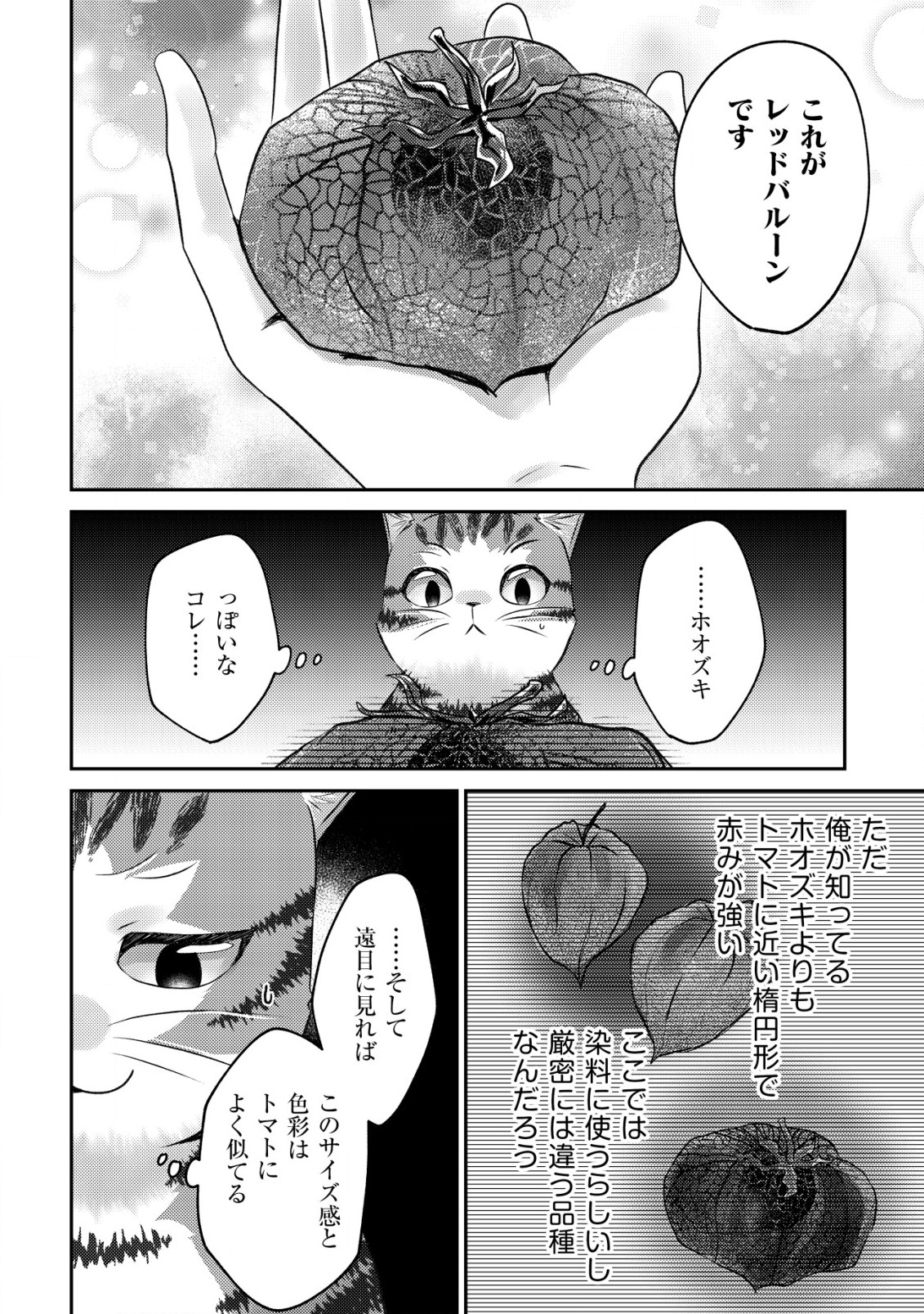 我輩は猫魔導師である 第4話 - Page 28