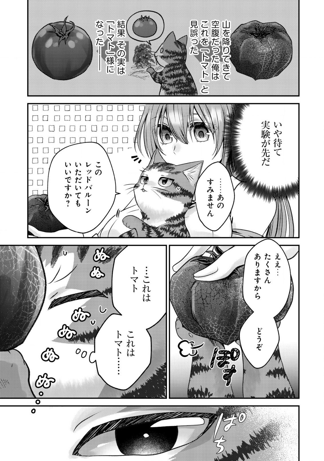 我輩は猫魔導師である 第4話 - Page 29