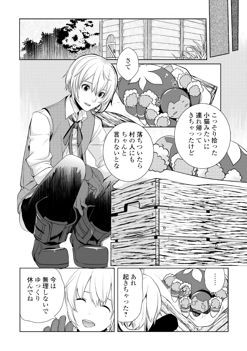 いずれ最強の錬金術師？ 第3話 - Page 29