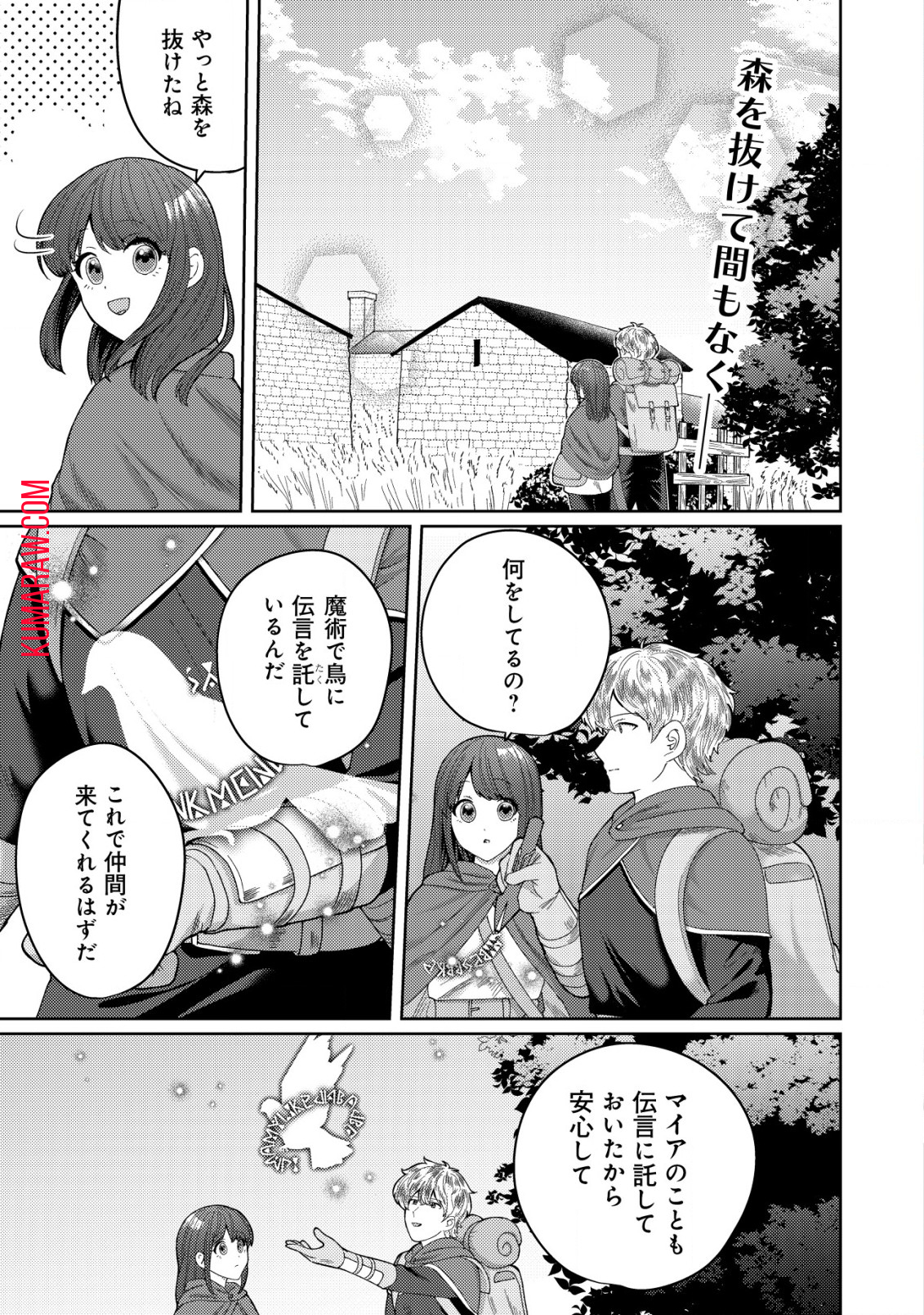 雑草聖女の逃亡～隣国の魔術師と偽夫婦になって亡命します～ 第6.1話 - Page 2