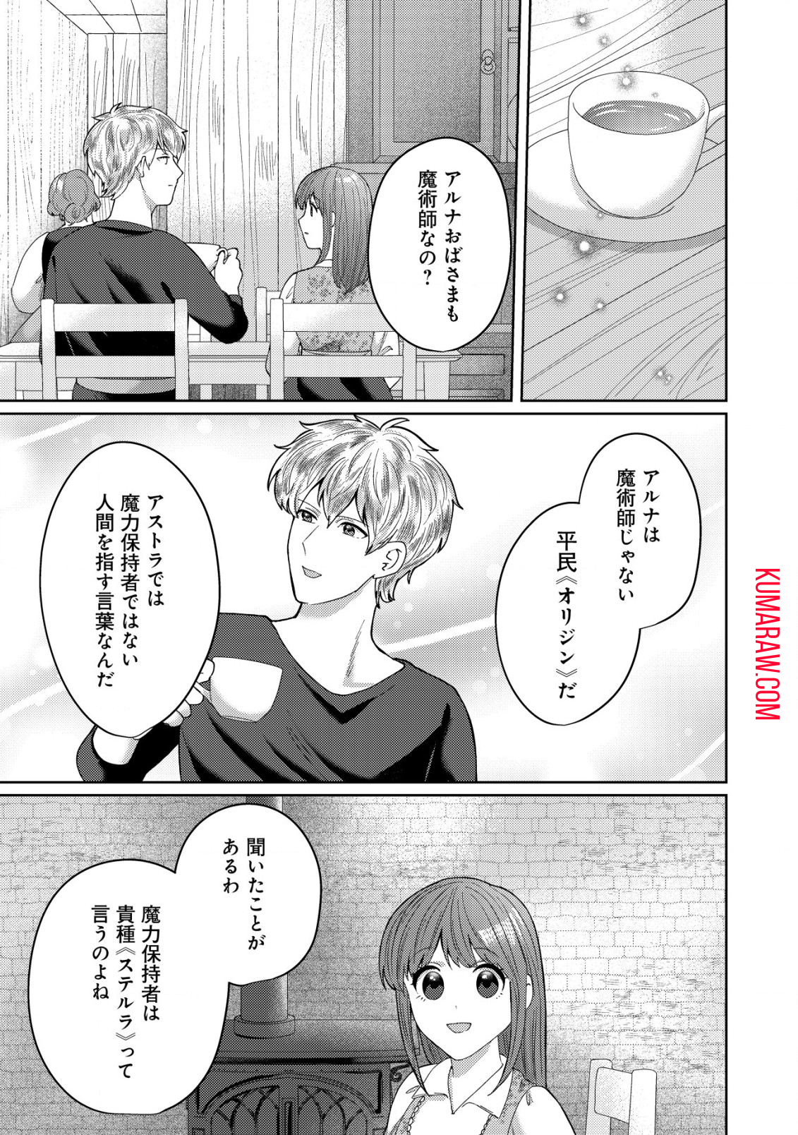 雑草聖女の逃亡～隣国の魔術師と偽夫婦になって亡命します～ 第6.2話 - Page 3