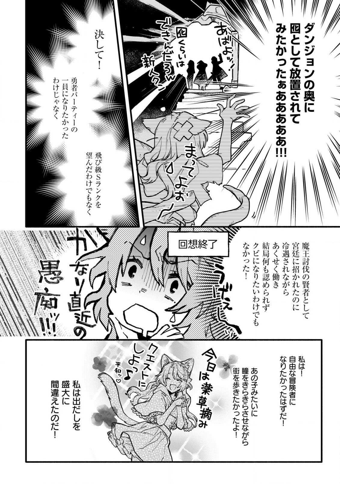 猫魔法が世界に革命を起こすそうですよ？ 第1.2話 - Page 8