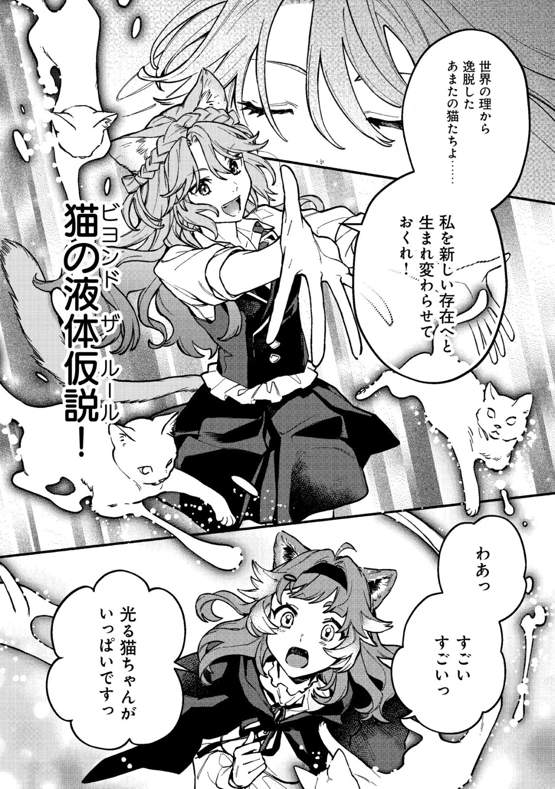 猫魔法が世界に革命を起こすそうですよ？ 第2.2話 - Page 11