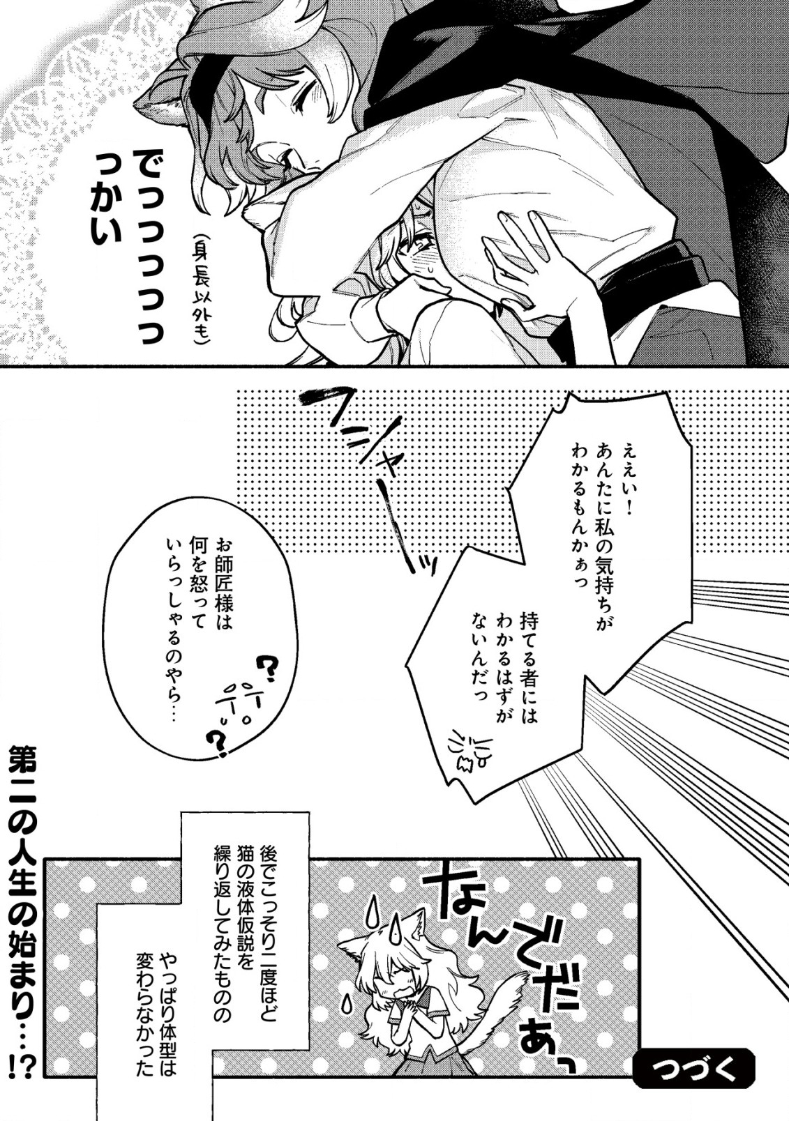 猫魔法が世界に革命を起こすそうですよ？ 第2.2話 - Page 17