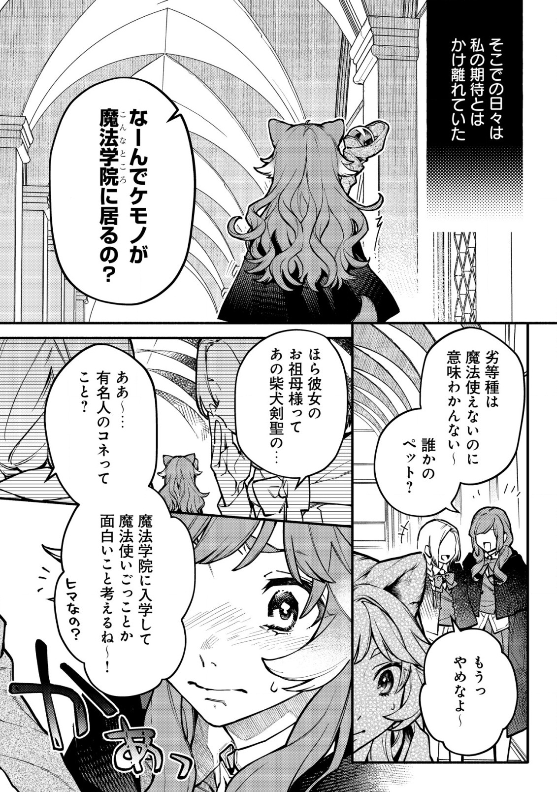 猫魔法が世界に革命を起こすそうですよ？ 第5.1話 - Page 10