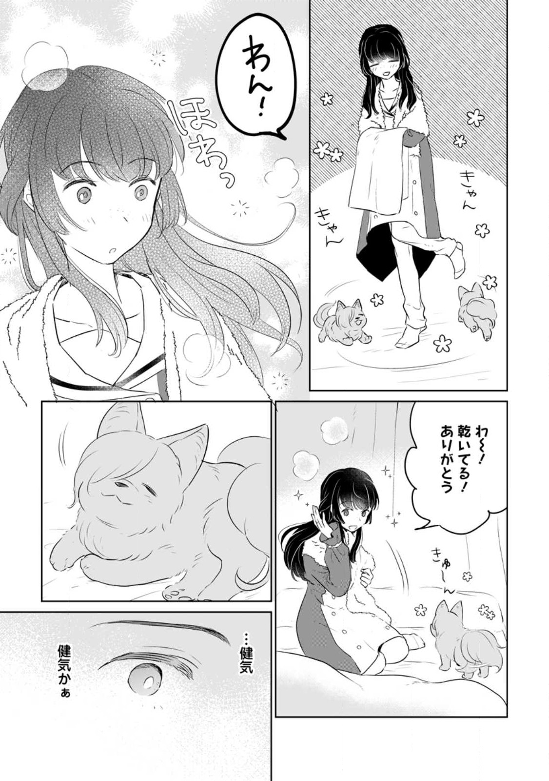 聖女じゃないと追放されたので、もふもふ従者(聖獣)とおにぎりを握る 第23.1話 - Page 11