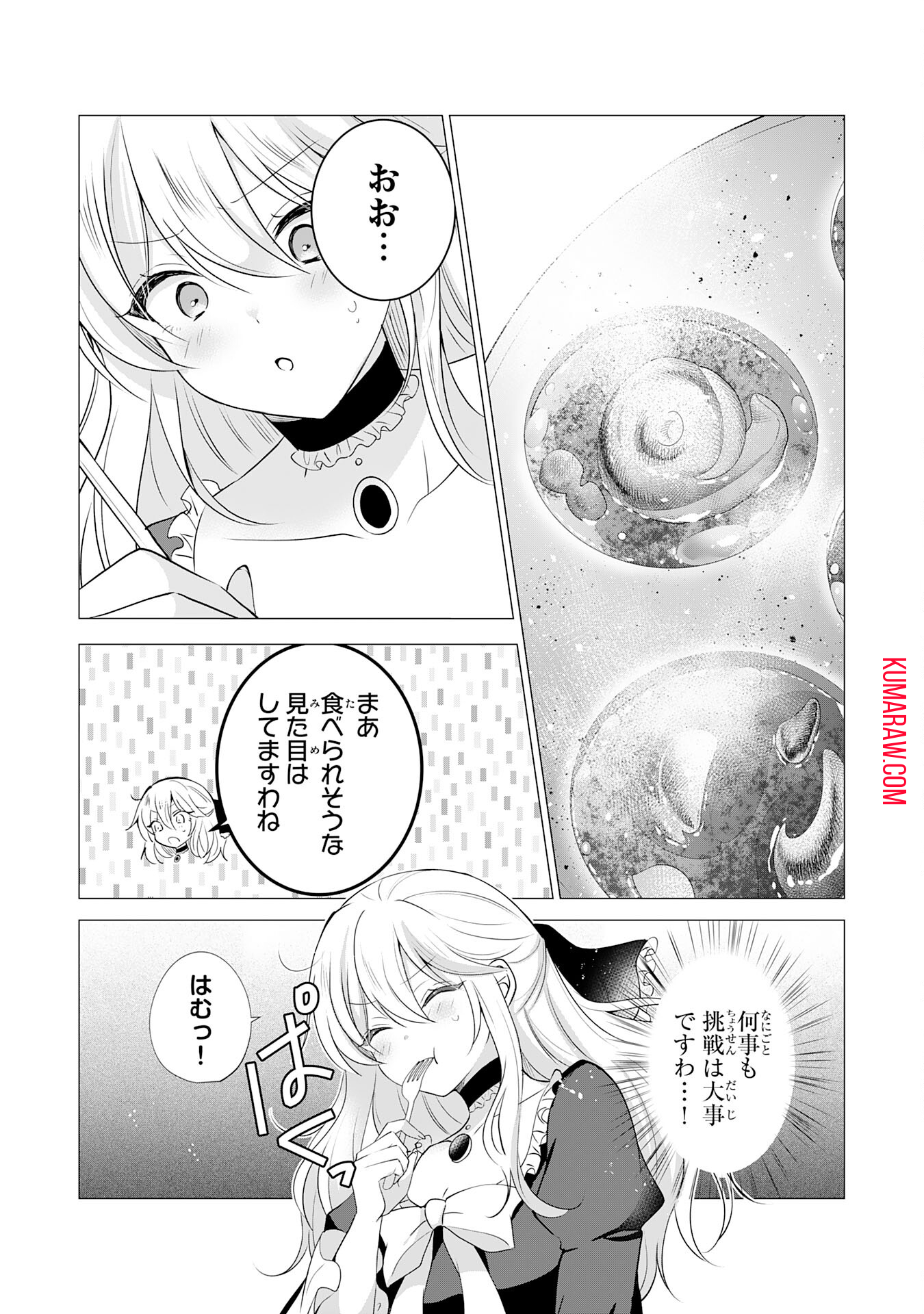 貴族令嬢がジャンクフード食って「美味いですわ！」するだけの話 第11話 - Page 13