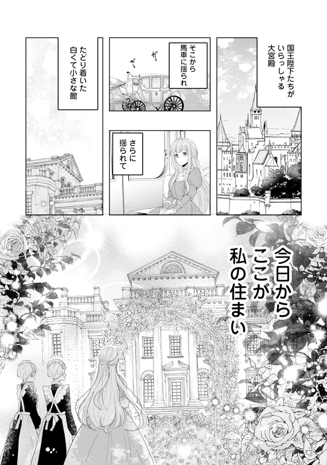 シンデレラの姉ですが、不本意ながら王子と結婚することになりました～身代わり王太子妃は離宮でスローライフを満喫する～ 第2話 - Page 3