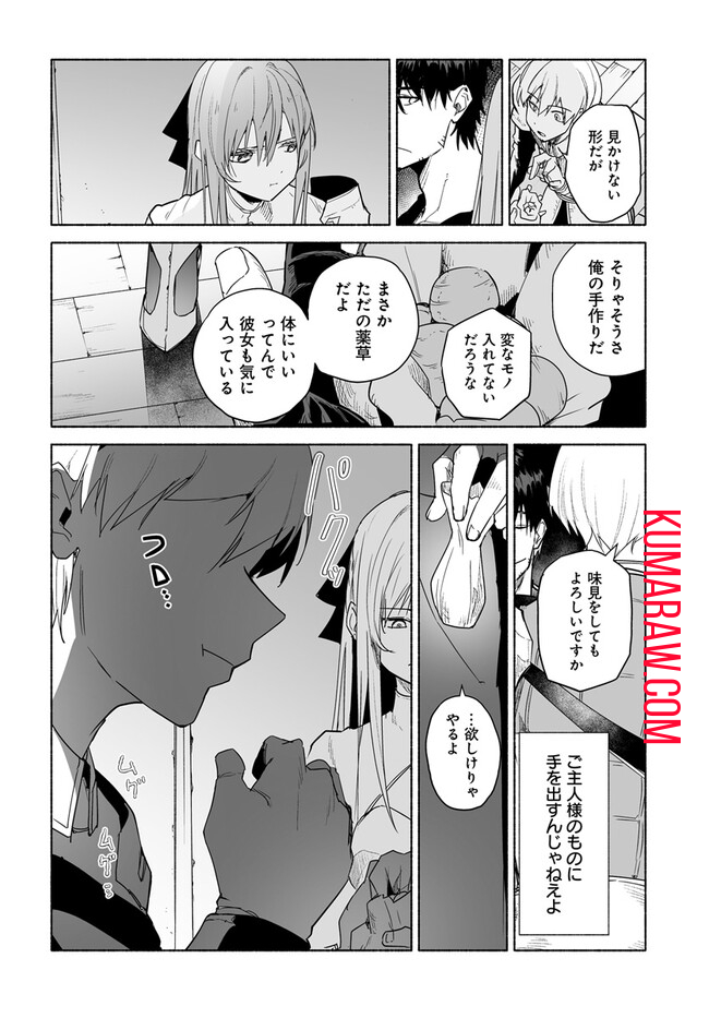 姫騎士様のヒモ 第9.2話 - Page 3