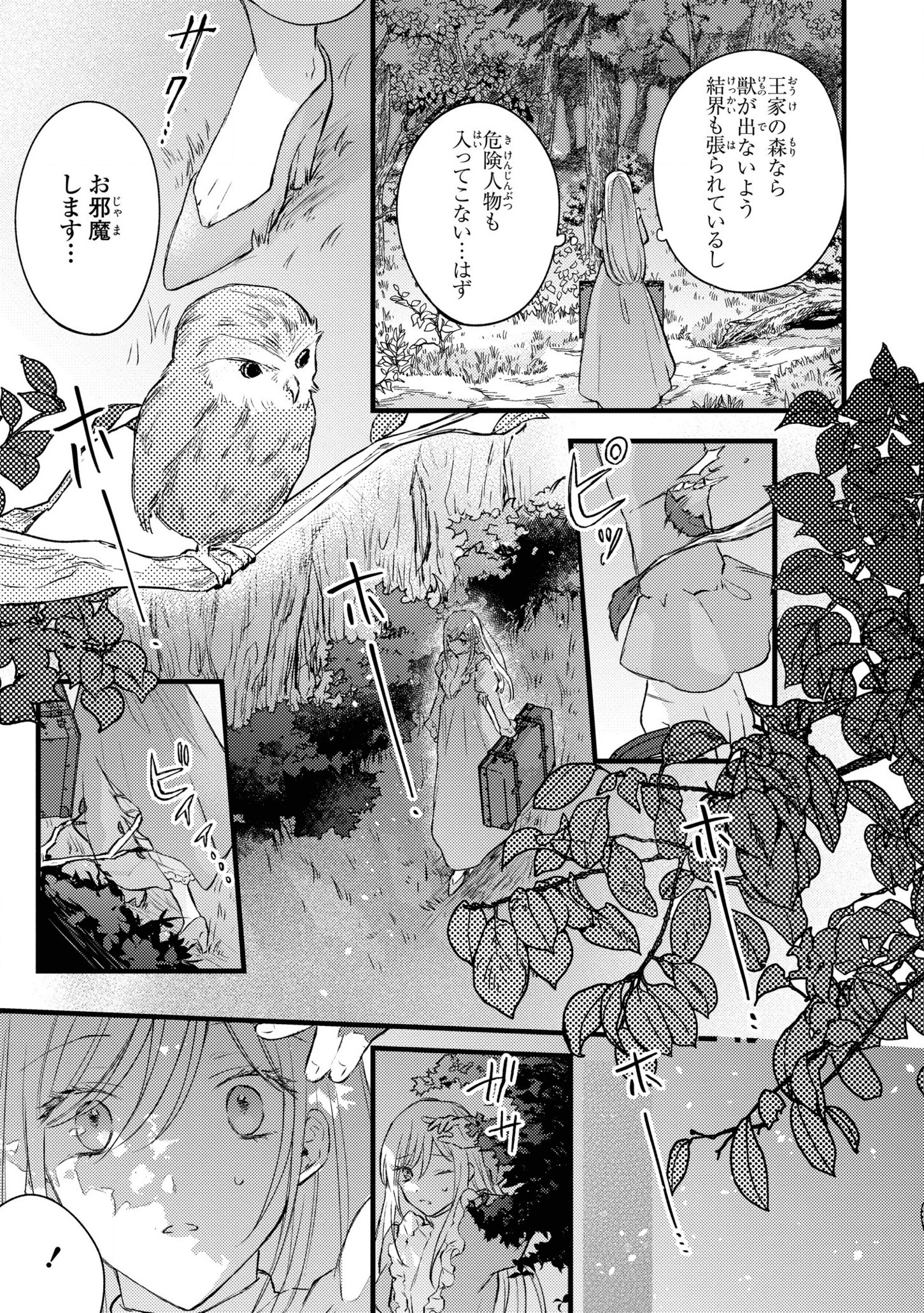 捨てられ男爵令嬢は黒騎士様のお気に入り 第1話 - Page 17