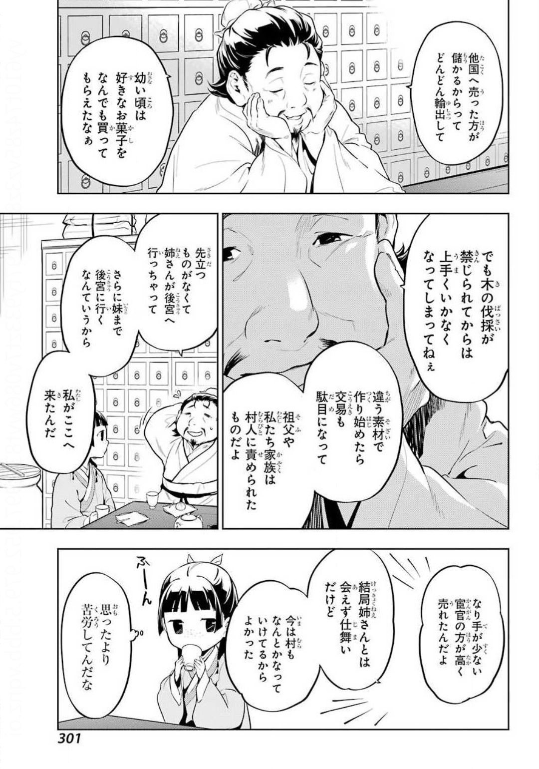 薬屋のひとりごと 第35.1話 - Page 13