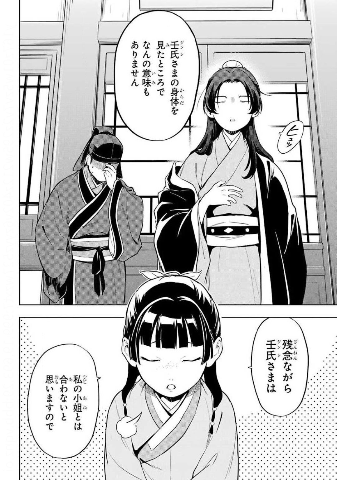 薬屋のひとりごと 第35.2話 - Page 19