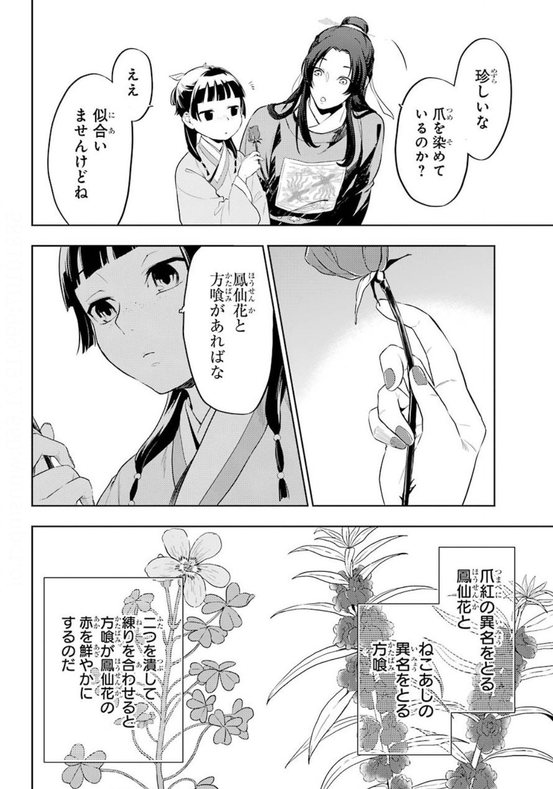 薬屋のひとりごと 第36.2話 - Page 12