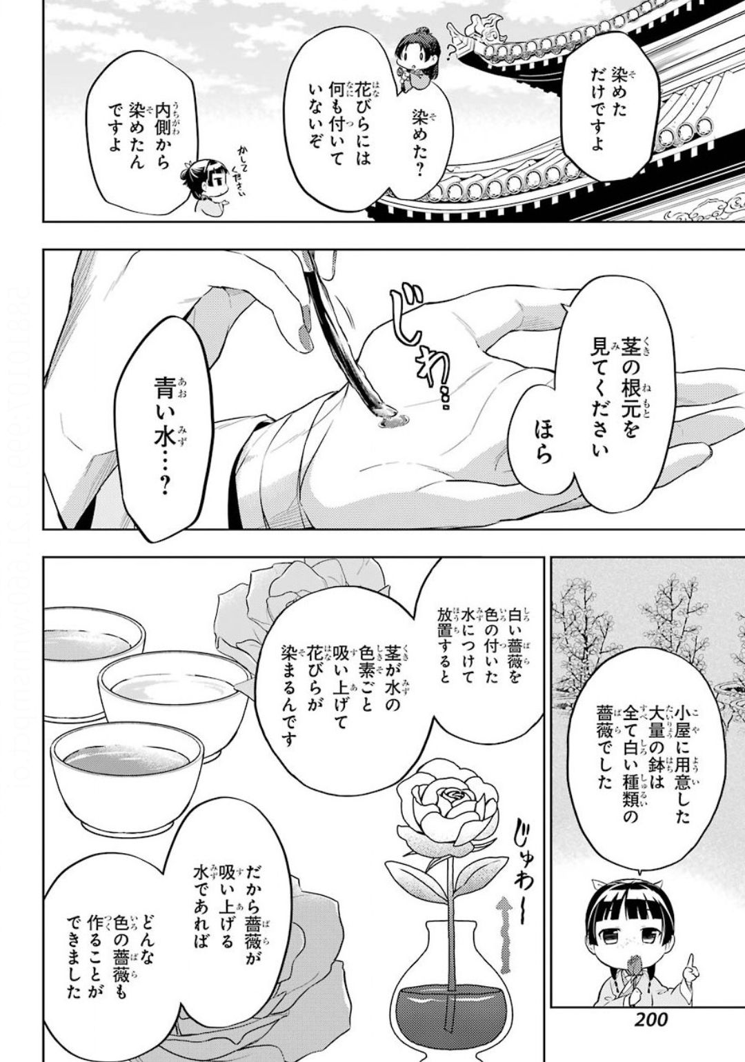 薬屋のひとりごと 第36.2話 - Page 10