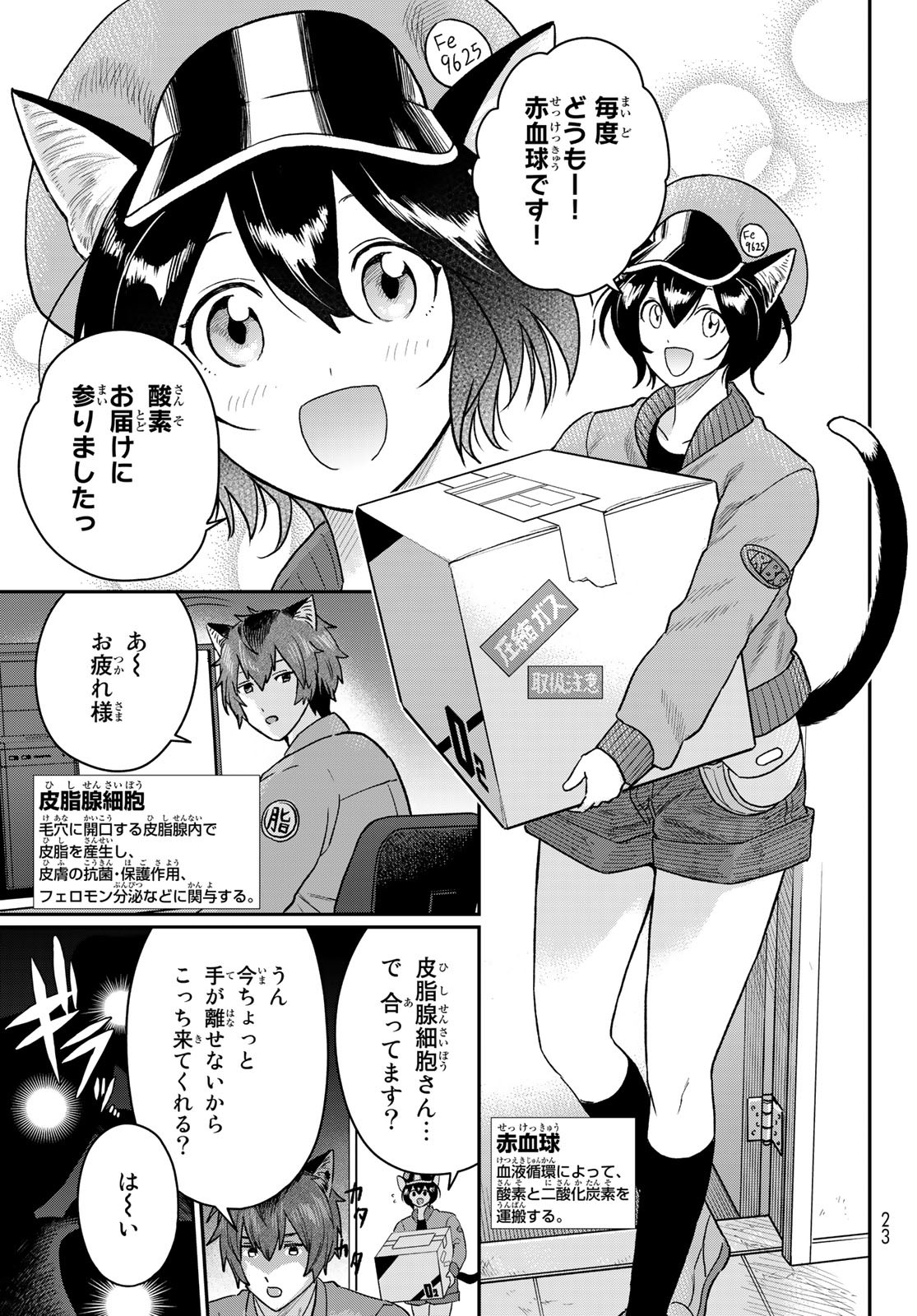 はたらく細胞　猫 第1話 - Page 10