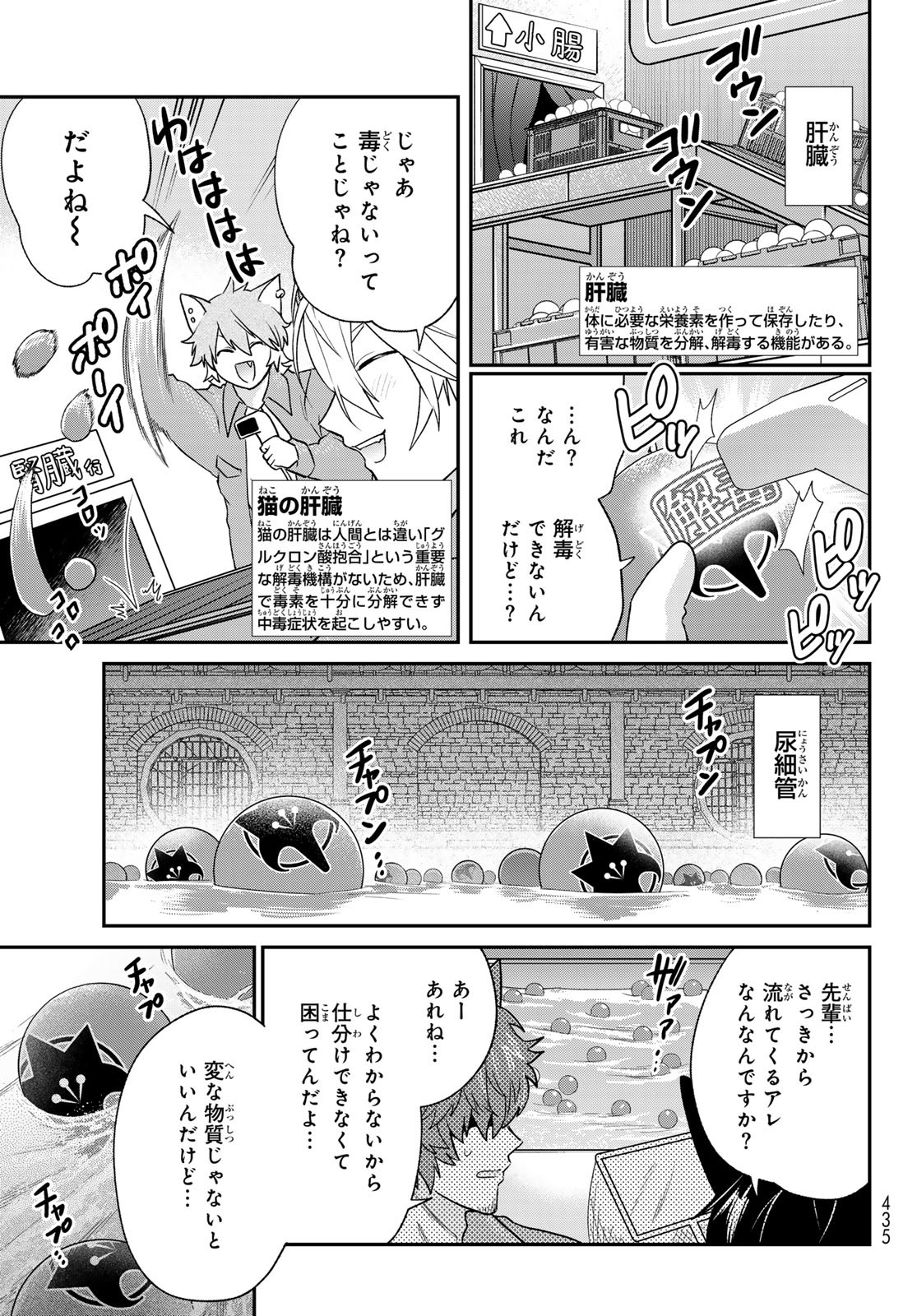 はたらく細胞　猫 第7話 - Page 13