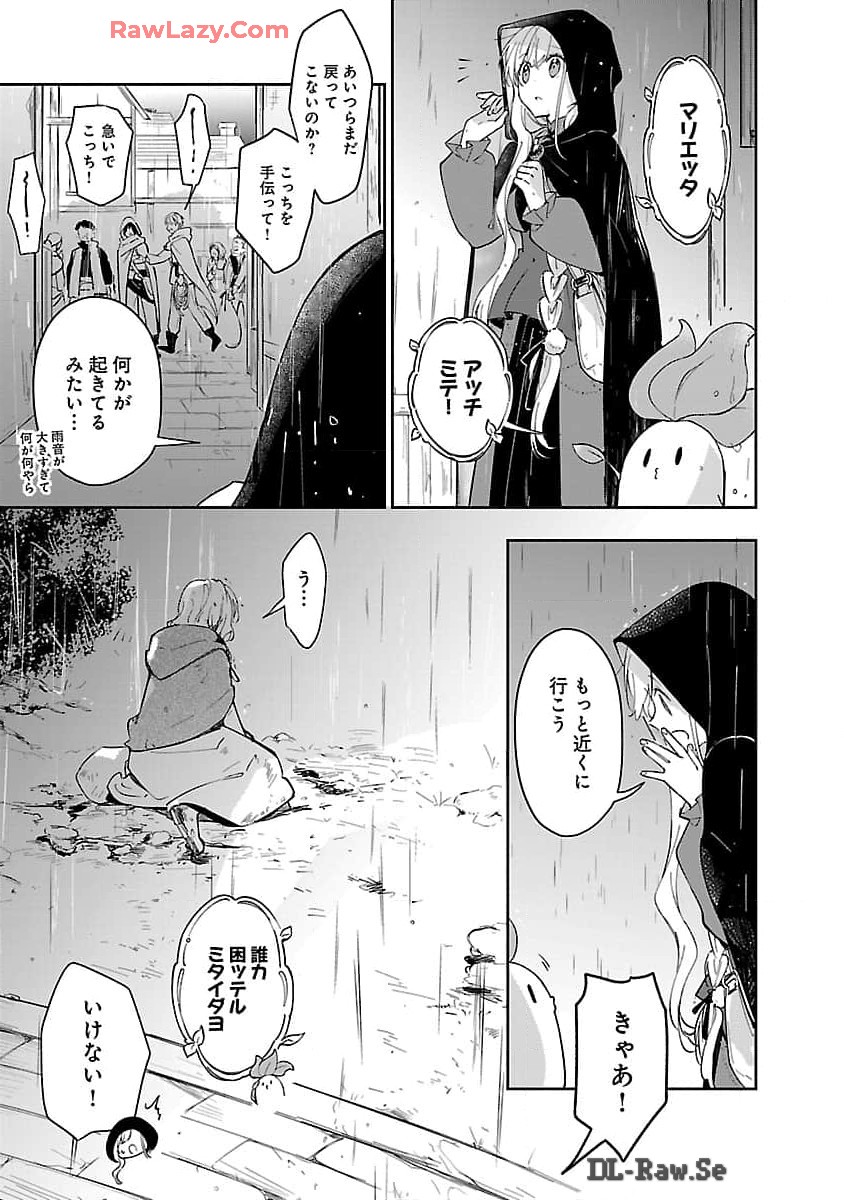 嫌われ魔女と体が入れ替わったけれど、私は今日も元気に暮らしています！ 第15話 - Page 17