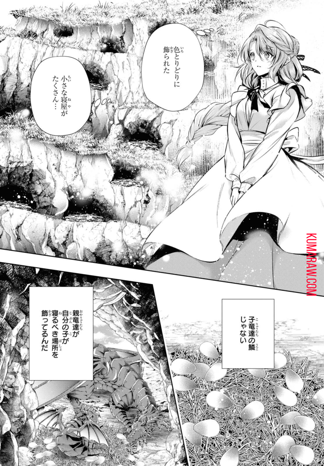 竜騎士のお気に入り 第27.2話 - Page 13